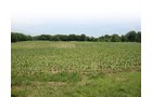 Property photo 5 - 120 Acres Offered in 9 Tracts - Real Estate & Personal Property Auctions